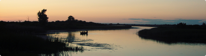 Kalurid Võhandu jõel / Sigrid Sibul